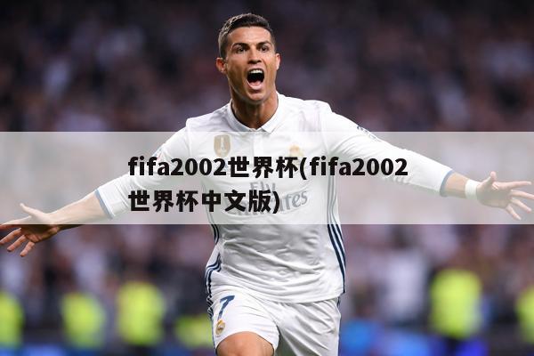 fifa2002世界杯(fifa2002世界杯中文版)