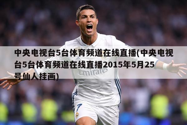 中央电视台5台体育频道在线直播(中央电视台5台体育频道在线直播2015年5月25号仙人挂画)